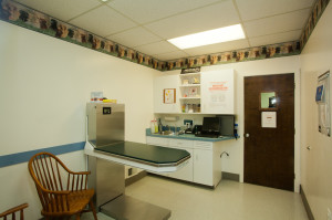 Adamstown Veterinary Hospital Examination Room 4